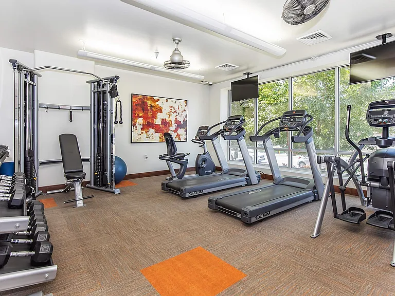 SLSGym