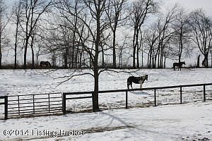 3rd image of 6380 Dover Rd