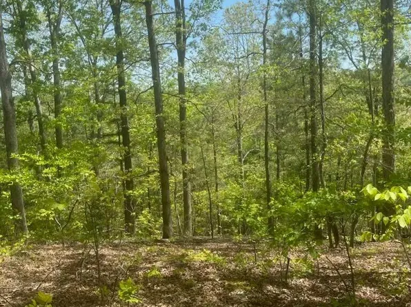 47 County Rd, Riceville, TN 37370
