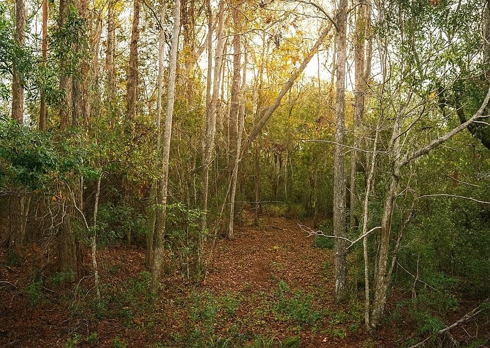 1st image of County Road 48