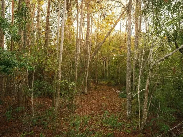 County Road 48, Yalaha, FL 34797