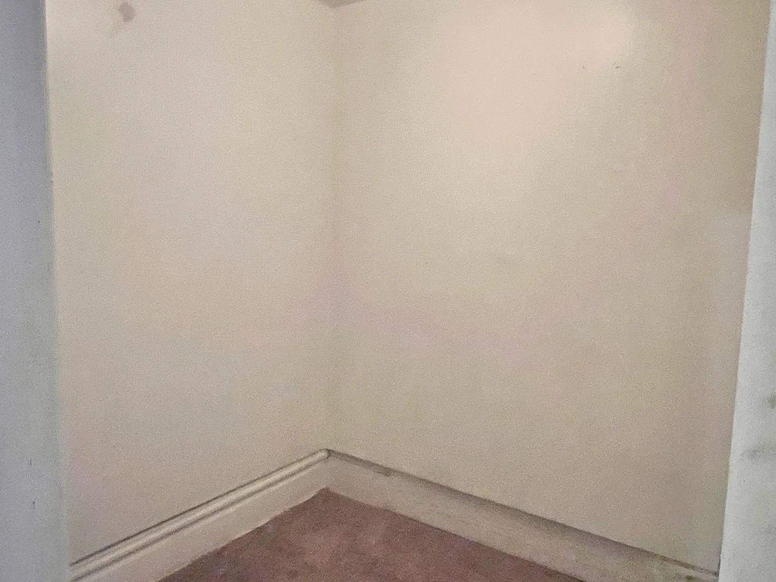 3 bed, 1500 sqft, $1,295 — Photo 3