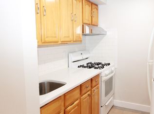 169 Sumpter St #1, Brooklyn, NY 11233