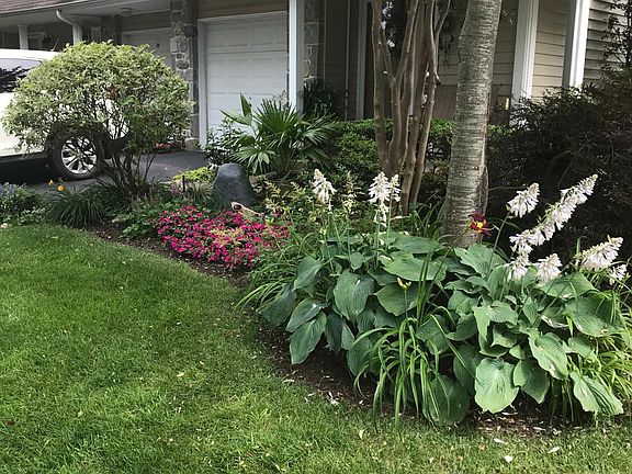 Beautiful established landscaping