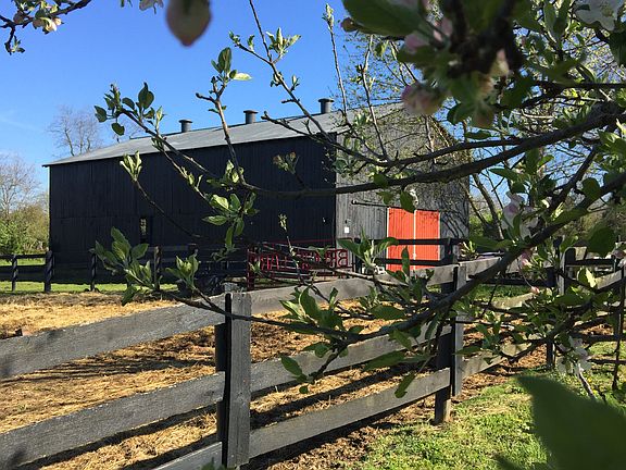 Springtime in happy valley 