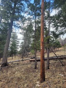 50 Enchanted Forest Ln, Cloudcroft, NM, 88317