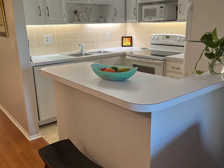 110 Spring Lake Ct #204 — Photo 9