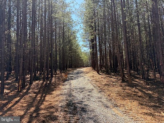 2nd image of LOT Mountain Cut Rd #B