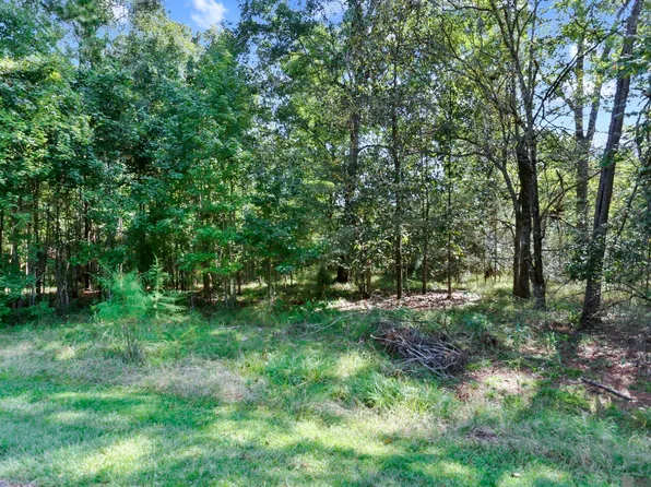 14042 Dogwood Trce, Saint Francisville, LA 70775