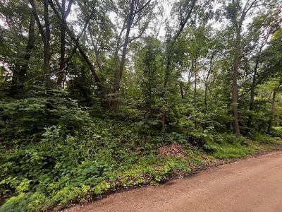 109 Street NW, South Haven, MN, 55382