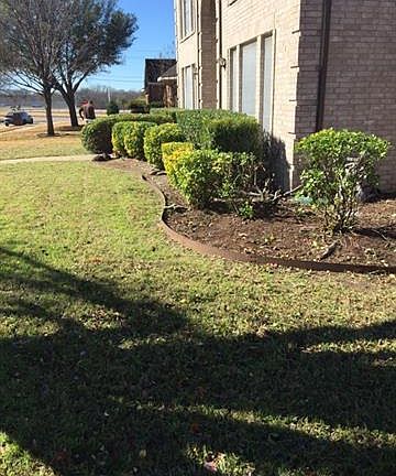 3rd image of 2223 Fallen Wood Dr