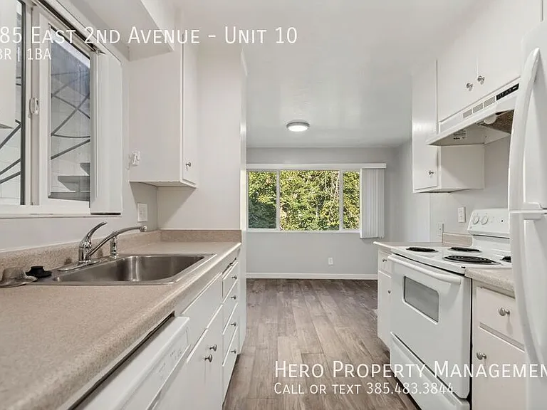 585 E 2nd Ave #10 — Photo 8
