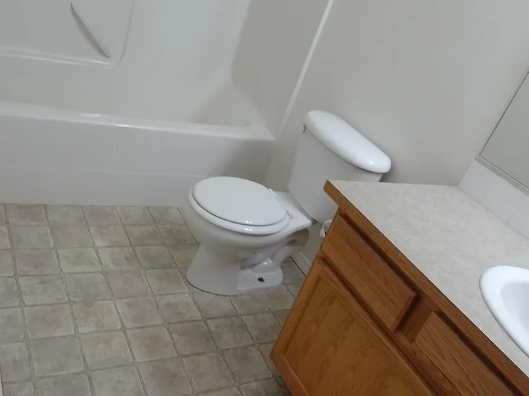 Hall bathroom
