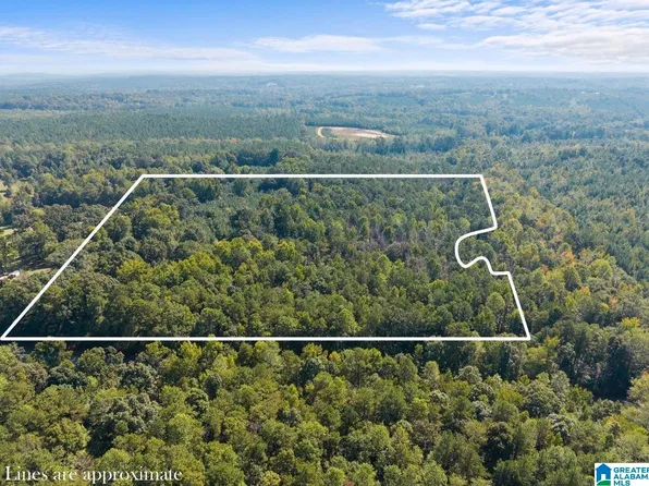 0 County Road 51, Clanton, AL 35046