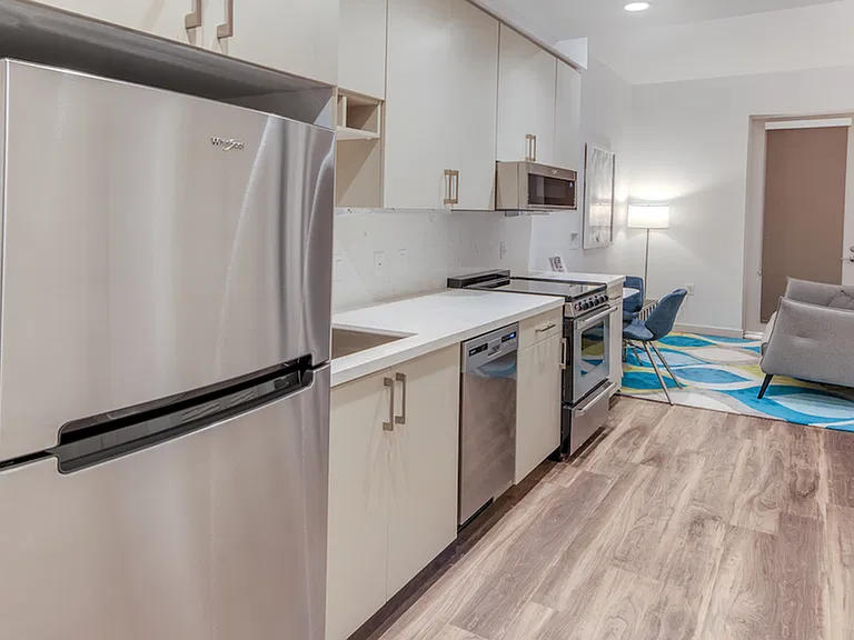 Gourmet galley style kitchens with white cabinetry and stainless steel appliances