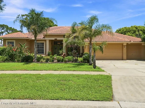 3454 Saint Ives Blvd, Spring Hill, FL 34609