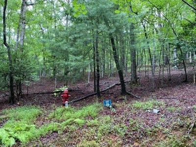116A Cross St, Blue Ridge, GA, 30513