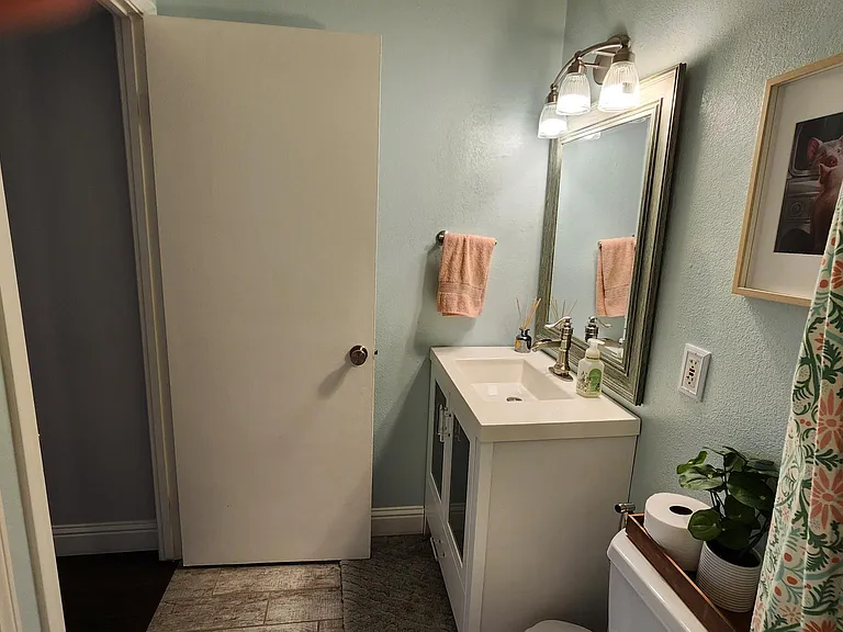 Hall bathroom