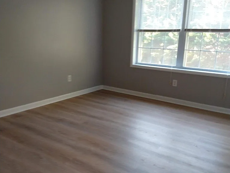 1493 Scott St — Photo 3