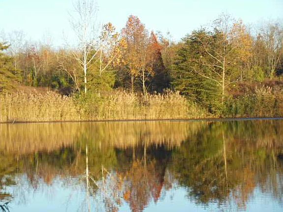 5th image of 10 Lakeshore Dr