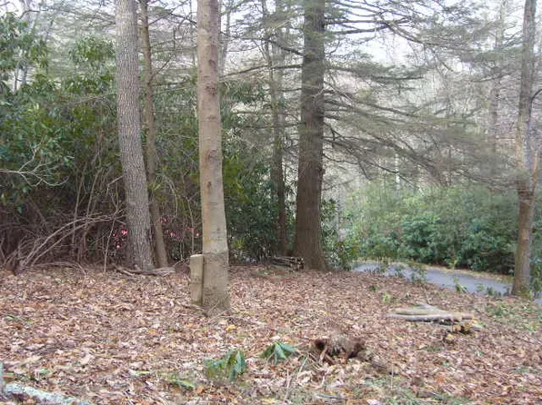 Alpenway, Linville, NC 28646