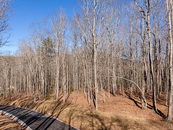 2nd image of Lot C59 Lodge Woods Trail