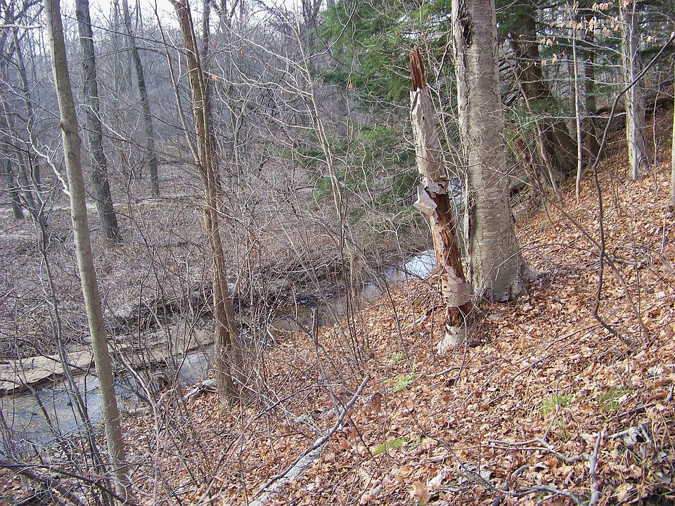 1st image of 2910 Peach Creek Ln