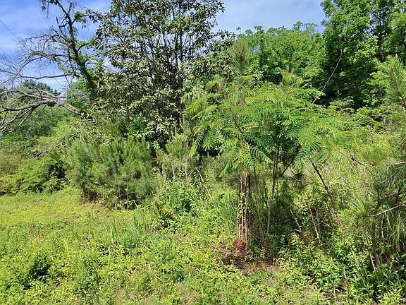5th image of 479 Sandtown Rd SE Lot 1