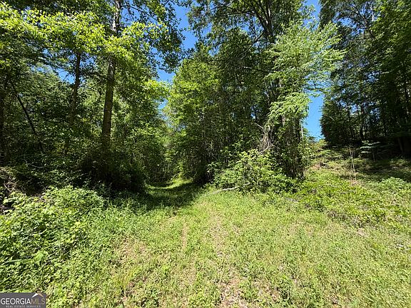 5th image of Wallace Gray Rd