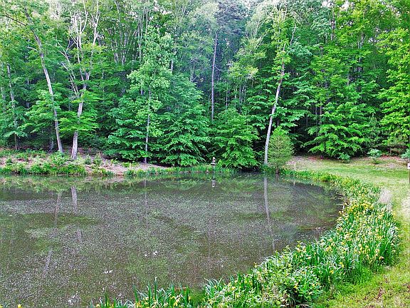East End of First Lake