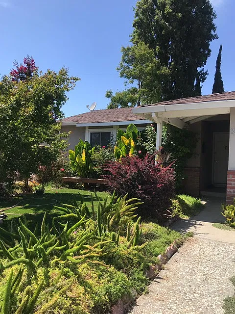 Studio, 300 sqft, $1,300 — Photo 2