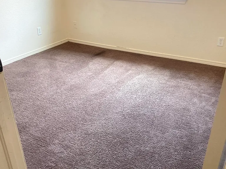 4621 Michael Torres Dr — Photo 9
