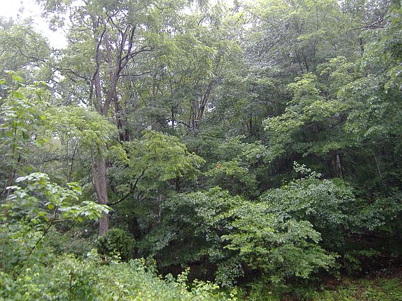 View from back of mobile