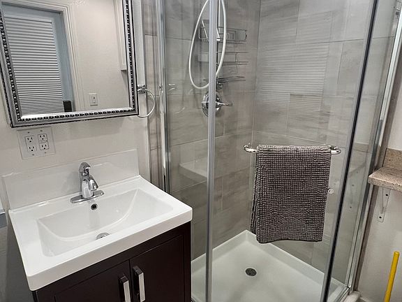Vanity cabinet and shower