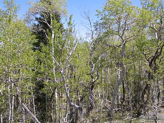 3rd image of Sand Creek Park