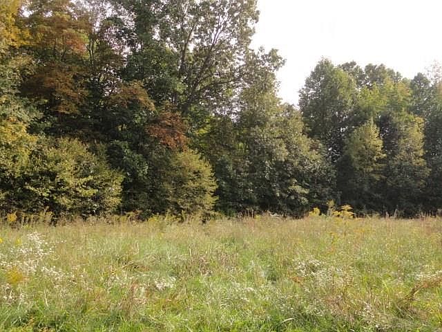 1st image of Ritter Woods