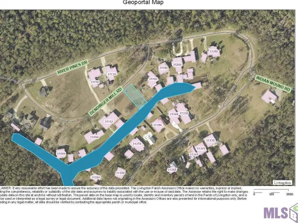 31140 Dendinger Mill Rd, Springfield, LA 70462