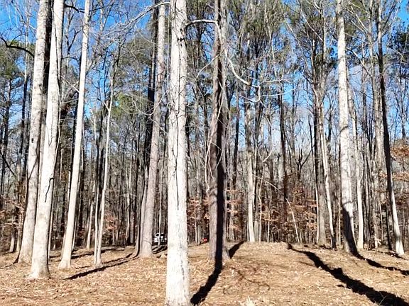 2nd image of LOT 6155 Little Ridge Rd Lot 1