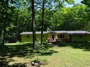 9902 Cunningham Rd, Mancelona, MI 49659