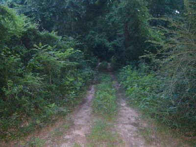 150 Rose St, New London, TX, 75684