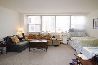 1st image of 1150 N Lake Shore Dr APT 8L