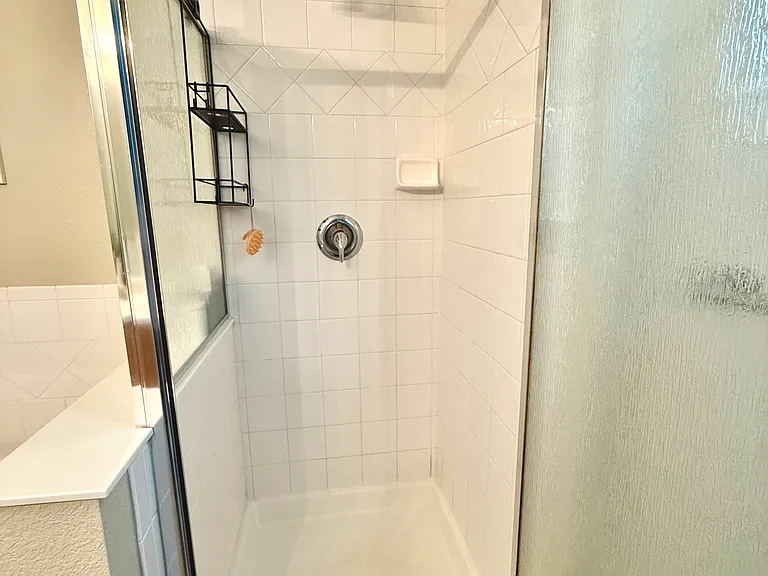 Primary bath shower