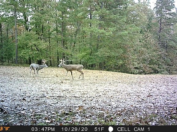 4th image of 0 Doyle Rd Lot Wp001