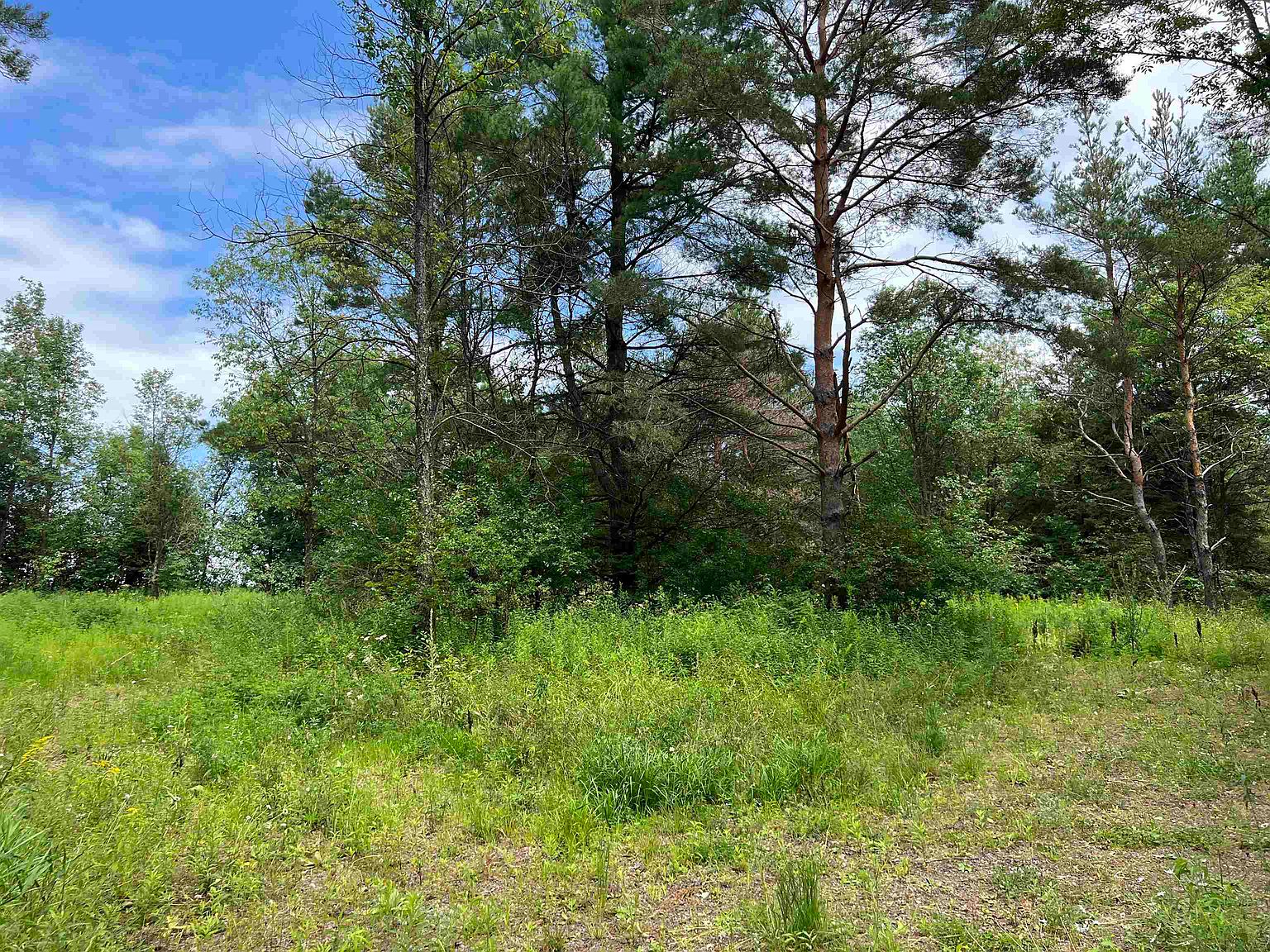 State Highway 13, Ogema, WI 54459 Zillow