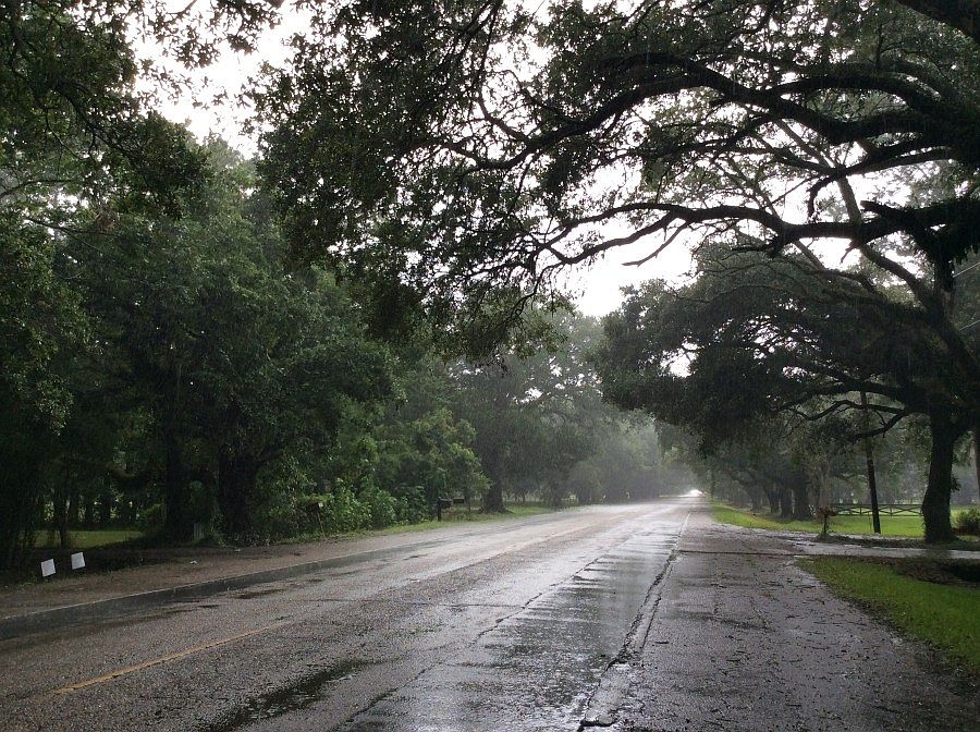 2nd image of 7869 Main Hwy
