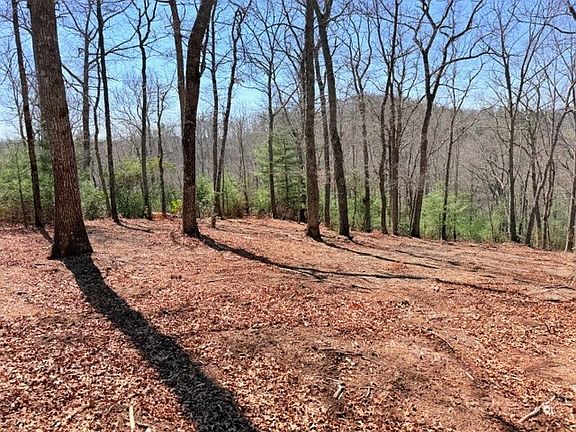 3rd image of Lot 66 Autumn Fern Trail