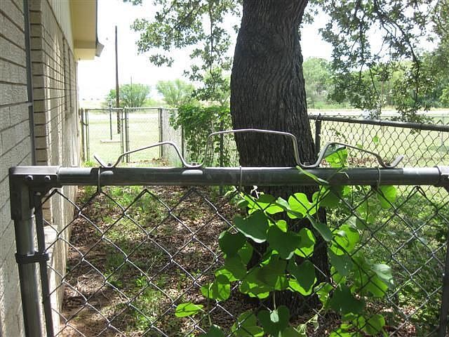 DOG RUN ON SIDE OF HOUSE