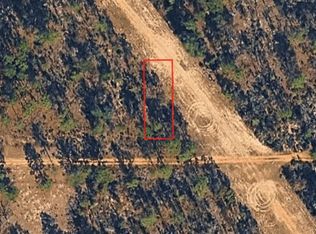 Xx Birch Ave Lot 14, Interlachen, FL 32148