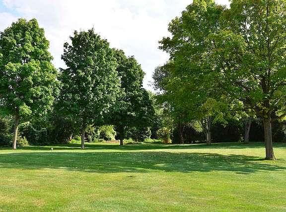 Huge, flat backyard!
