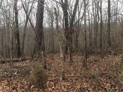 Hollym Cir, Bella Vista, AR, 72715